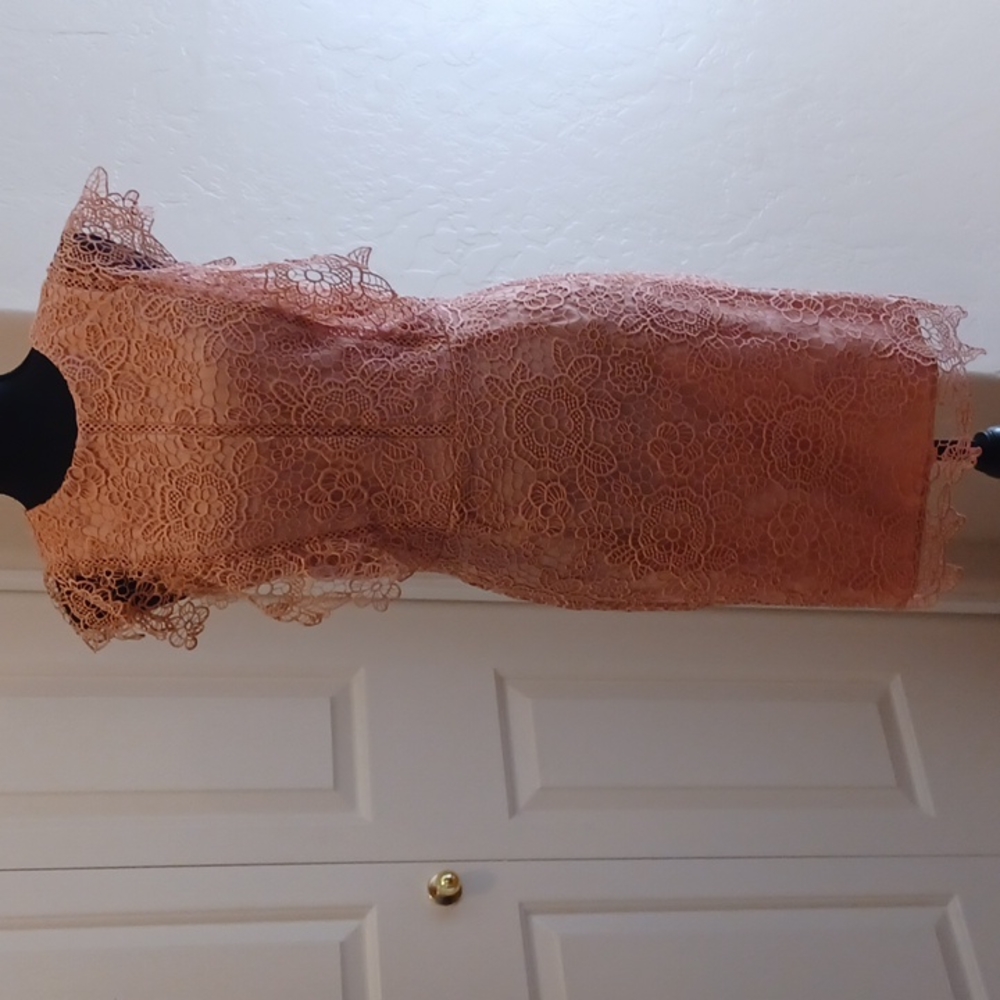Gianni Bini Nude Lace Dress